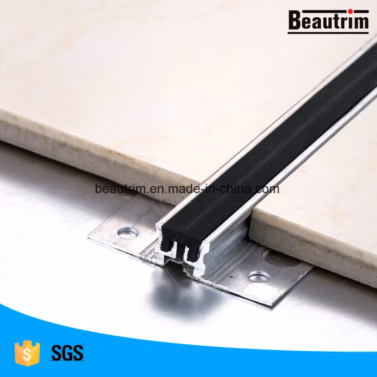 Stainless Steel Expansion Joint Profile Building Material